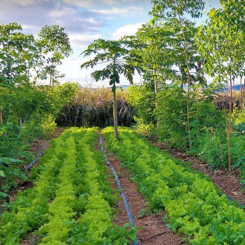 08_26_2022_DipNote_Example